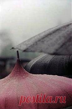 via zsazsabellagio | I Wish It Would Rain