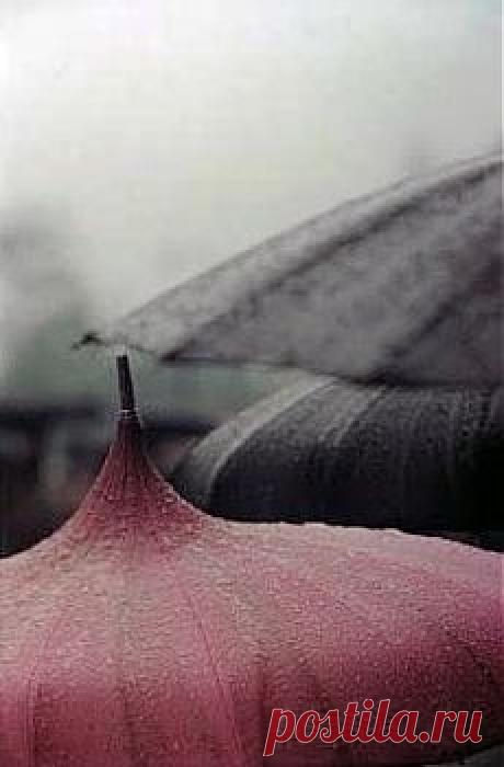 via zsazsabellagio | I Wish It Would Rain