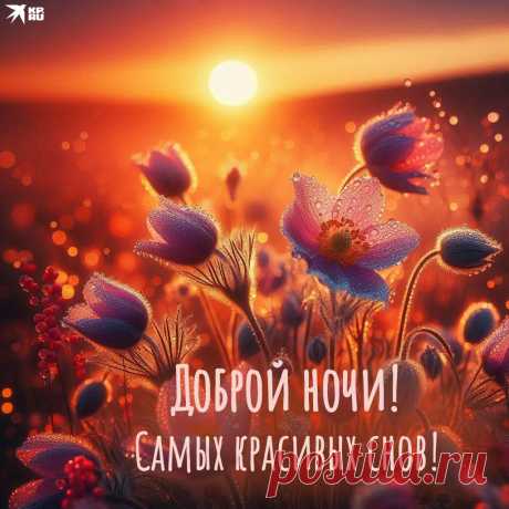 Я желаю тебе доброй ночи
И приятных, спокойных снов.
Чтоб была она нежной очень
И хотелось заснуть сильно вновь.
