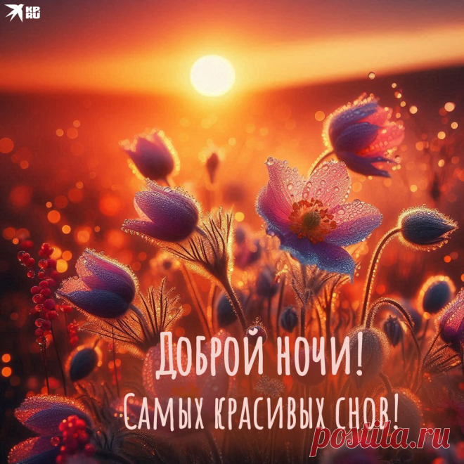 Я желаю тебе доброй ночи
И приятных, спокойных снов.
Чтоб была она нежной очень
И хотелось заснуть сильно вновь.