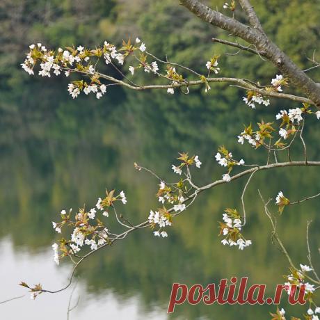 Что у вас нового? Странный вопрос. Новый день, значит, новое всё, и воздух, и мысли, и ощущения. Новый взгляд на новое всё. Главное - видеть новое в каждом дне! С добрым утром!!!!