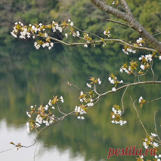 Что у вас нового? Странный вопрос. Новый день, значит, новое всё, и воздух, и мысли, и ощущения. Новый взгляд на новое всё. Главное - видеть новое в каждом дне! С добрым утром!!!!