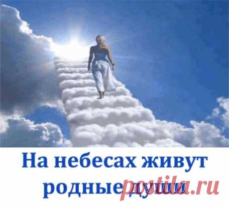 На небесах живут родные души , 
Стараются нас оградить от бед. 
Их надо научиться только слушать , 
Мы сможем получить от них совет.