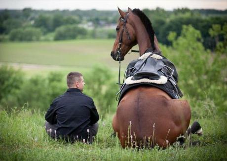 Прикольные фото - 84 (Подборка из 30 фото) - Бабёдра.РУ