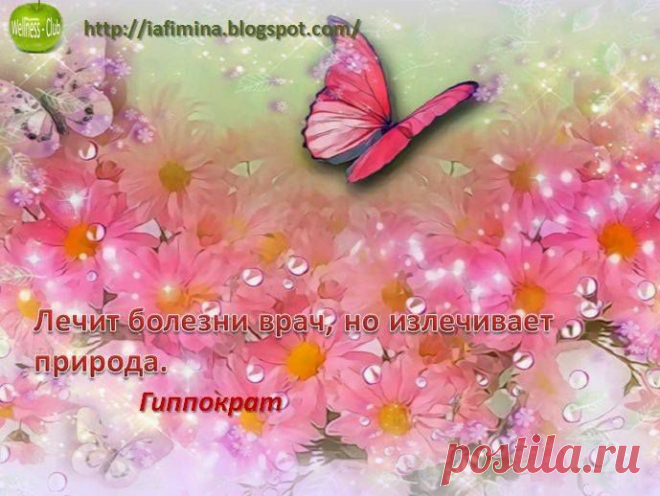 (1) Лучшая красота - это здоровье