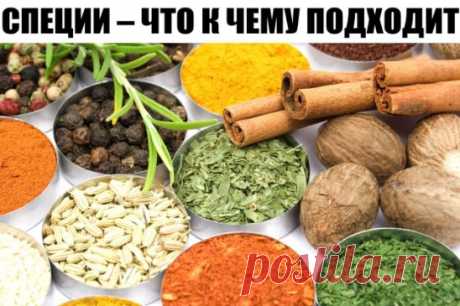 СПЕЦИИ – ЧТО К ЧЕМУ ПОДХОДИТ
ДЛЯ МЯСА: красный, черный, душистый перец или гвоздика, майоран, тимьян, тмин, куркума, лук, орегано.
ДЛЯ ПТИЦЫ: тимьян, майоран, розмарин, шалфей, чабрец, базилик.
ДЛЯ РЫБЫ: лавровый лист, белый перец, имбирь, душистый перец, лук, кориандр, перец чили, горчица, укроп, тимьян.
ДЛЯ ГРИЛЯ: красный перец, душистый перец, кардамон, тимьян, майоран, мускатный орех и мускатный цвет, тмин, имбирь, перец чили.
ДЛЯ ДИЧИ: тимьян, душица обыкновенная, душистый перец, красный пе