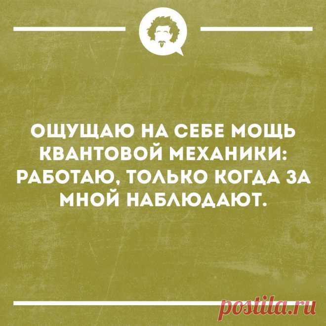 Юмор из интернета 297
