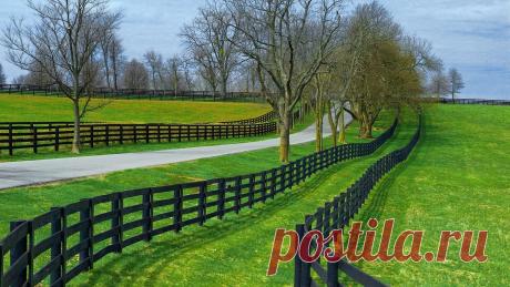 Природа, скачать обои для рабочего стола, картинка 1289