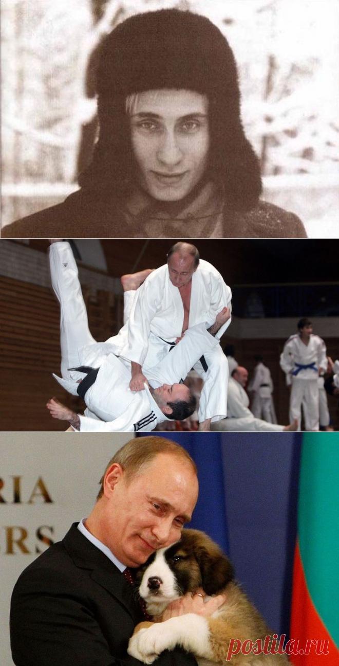 Владимир Путин — биография российского президента (ФОТО) :: Imenno.ru