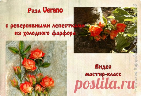 Лепка розы из холодного фарфора (полимерной глины) с реверсивными лепестками | Страна Мастеров