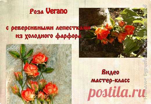 Лепка розы из холодного фарфора (полимерной глины) с реверсивными лепестками | Страна Мастеров