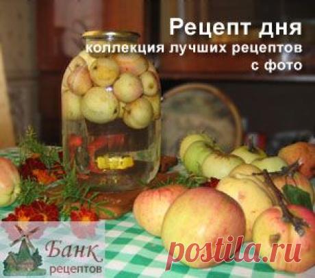 Заготовки на зиму. Банк рецептов