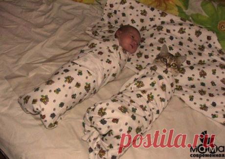 Бедный котик -мамины проделки.Целеустремленным предлагаю построение собственного бизнеса в сети,основанного на личном потреблении моющих средств ,вложений нет ,продаж нет,обучение бесплатное.Плотное сопровождение до получения дохода.Пассивный доход и вам будет что оставить в наследство своим детям.Интересно пишем в личку или смотрим ниже мою ссылку