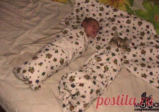 Бедный котик -мамины проделки.Целеустремленным предлагаю построение собственного бизнеса в сети,основанного на личном потреблении моющих средств ,вложений нет ,продаж нет,обучение бесплатное.Плотное сопровождение до получения дохода.Пассивный доход и вам будет что оставить в наследство своим детям.Интересно пишем в личку или смотрим ниже мою ссылку