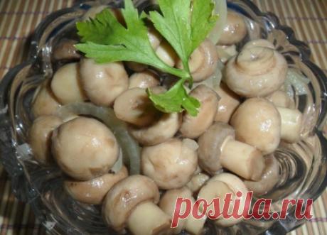 Маринованные грибы, простой рецепт как замариновать шампиньоны за сутки - Простые рецепты Овкусе.ру