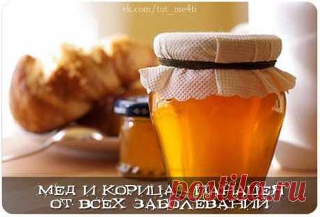 Мед и корица - панацея от всех заболеваний | thePO.ST