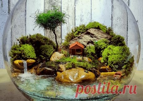 Флорариумы: виды, описание, идеи оформления ~ Planetalsad