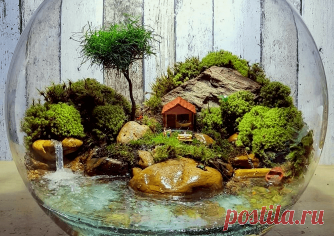 Флорариумы: виды, описание, идеи оформления ~ Planetalsad