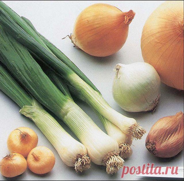 Народные приметы: 31 октября - Погода на Joinfo.ua