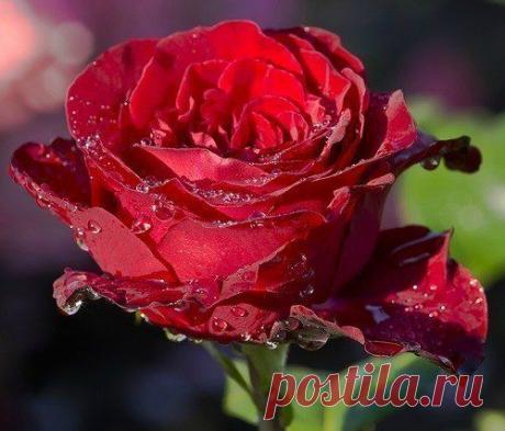 Красивые Картинки