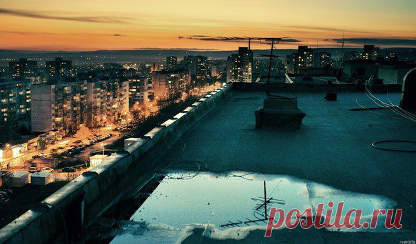 Здравствуй, Малыш. Все нормально. Живу на крыше.
Я все такой. По-прежнему вздорный. Рыжий.
В меру упитан. В полном расцвете лет.
Да, не летаю. В общем и целом – не с кем.
И не считаю небо занятьем детским.
Ты –то хоть помнишь? Нет, ты не помнишь. Нет.
Кристера видел. Спился. Весьма уныло
Выглядит на панели твоя Гунилла.
А про тебя я в курсе из новостей.
Стал депутатом в риксдаге ты или где там?
Сто дураков внимают твоим советам.
Ты не пустил на крышу своих детей.
Тихо кругом. И...