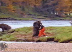 Animal Lovers – Google+
