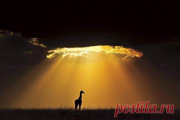 Интересные новости