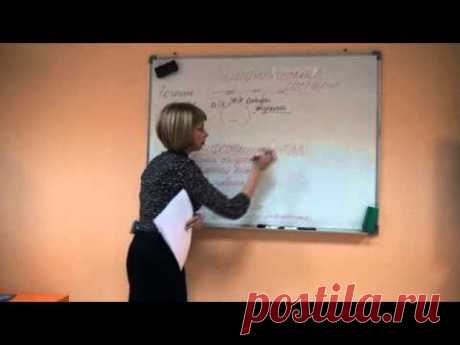 Лимфатическая система. Мальцева Марина