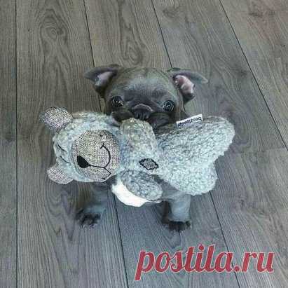 Доброе утро, человек!
