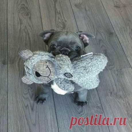 Доброе утро, человек!