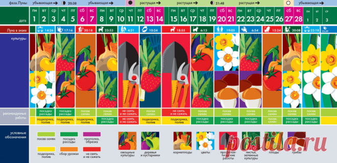 Февраль 2021 – Лунный посевной календарь садовода, огородника и цветовода!