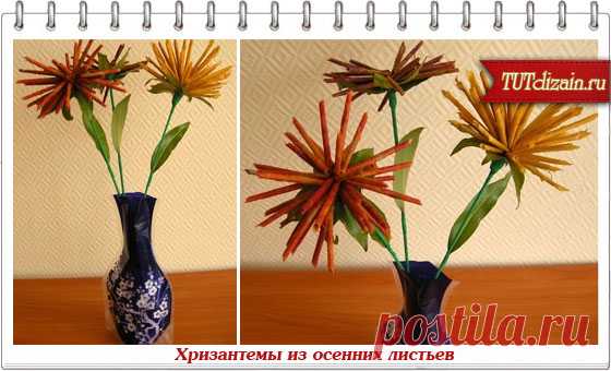 Яркие хризантемы из осенних листьев своими руками + Фото » Дизайн & Декор своими руками