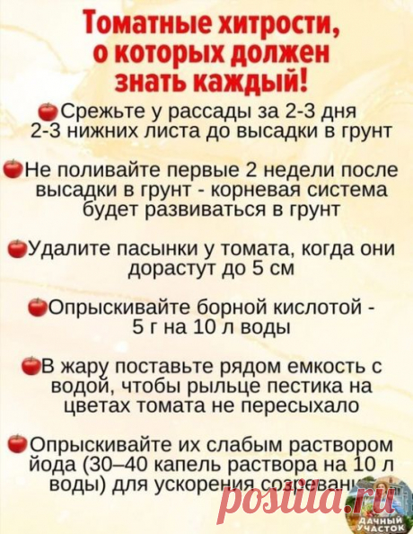 БАБУШКИНЫ СЕКРЕТЫ - Заметки | OK.RU