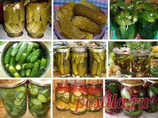 ✓ Вкусняшки! - Recept-dnja.blogspot.com: 8 ВАРИАНТОВ ЗАГОТОВОК ОГУРЦОВ