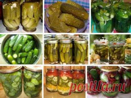 ✓ Вкусняшки! - Recept-dnja.blogspot.com: 8 ВАРИАНТОВ ЗАГОТОВОК ОГУРЦОВ