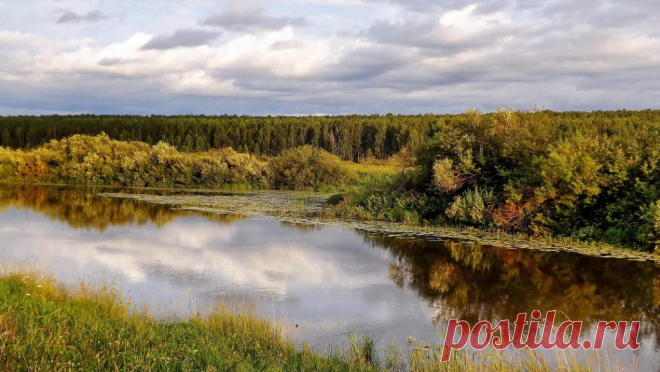 ФОТОМАСТЕРСКАЯ ПРИРОДЫ
Елена Гукова (Дмитриева)