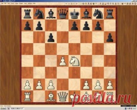 Играть онлайн в шахматы с компьютером Shredder (Шредер) | Играть в шахматы онлайн c живыми людьми или компьютером