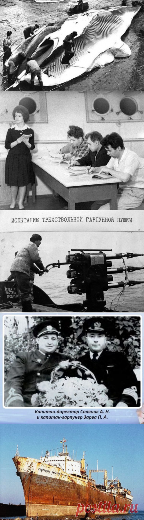 Советские китобои / Назад в СССР / Back in USSR
