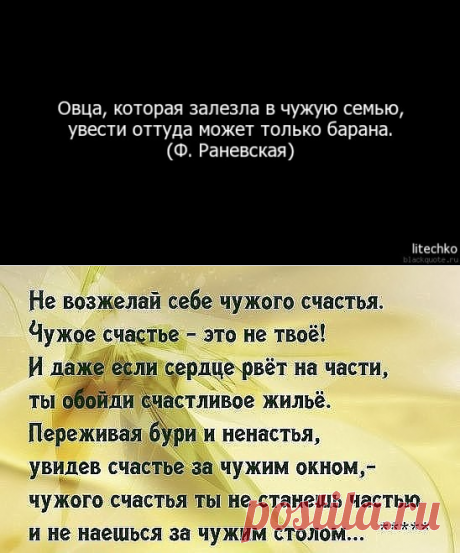 (84) Одноклассники