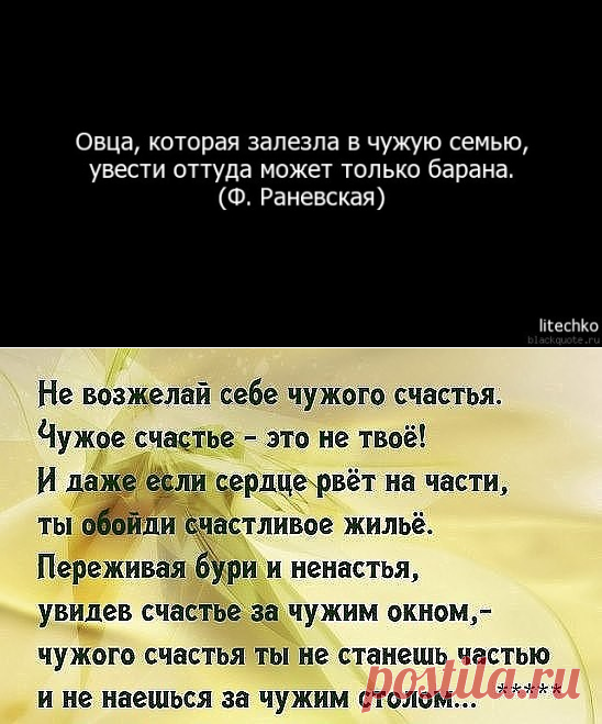 (84) Одноклассники