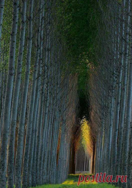Google+