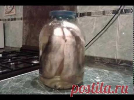 Вкуснейшая малосольная сельдь в домашних условиях - кулинарный рецепт