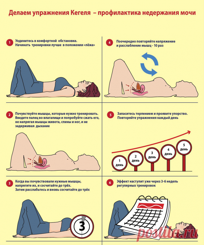 Упражнения для укрепления мышц тазового дна.