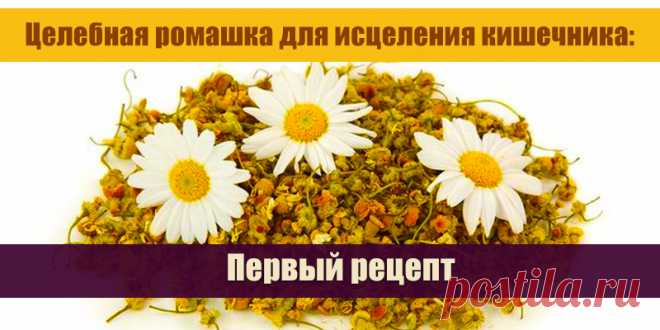 Целебная ромашка для исцеления кишечника: Первый рецепт. | Полезные советы