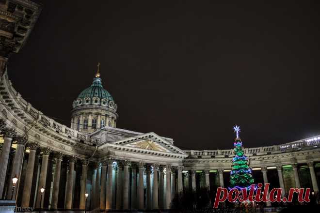Надежда Владимировна