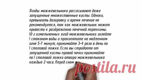 Киста почек Народное лечение