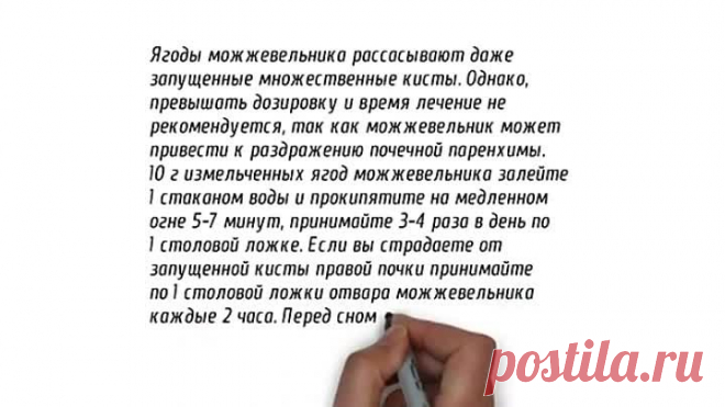 Киста почек Народное лечение