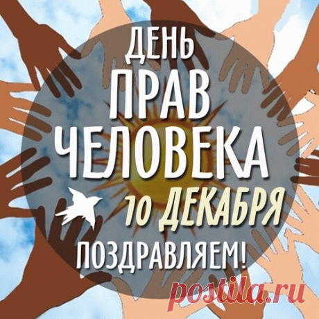 Права человека безумно важны,
О них никогда нам нельзя забывать!
Помните, все мы на свете равны,
Не должен никто наших прав нарушать!