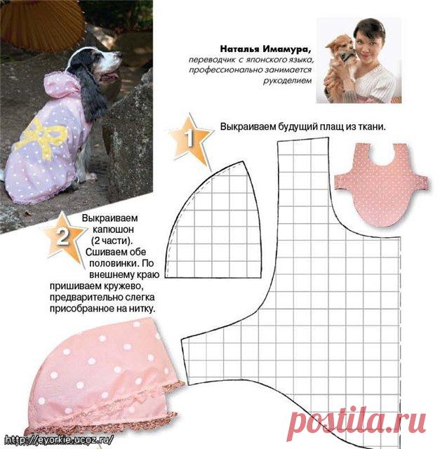 Плащ-дождевик - Форум НАШИ ЙОРКИ И ИХ ДРУЗЬЯ