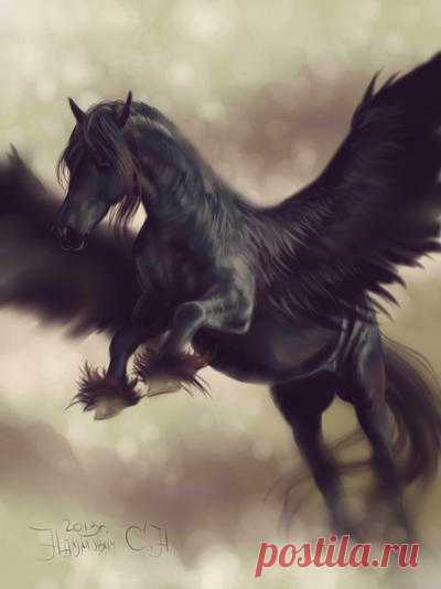 flight of Pegasus by Animal75Artist on DeviantArt